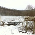 Sheltowee Trace - 14